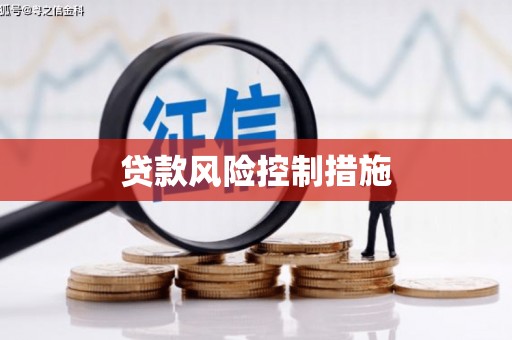 二水贷款风险控制措施