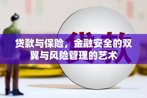 二水贷款与保险，金融安全的双翼与风险管理的艺术