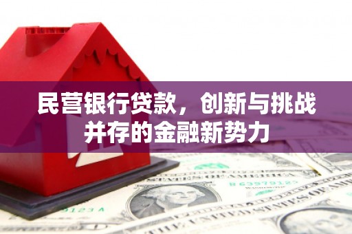 二水民营银行贷款，创新与挑战并存的金融新势力