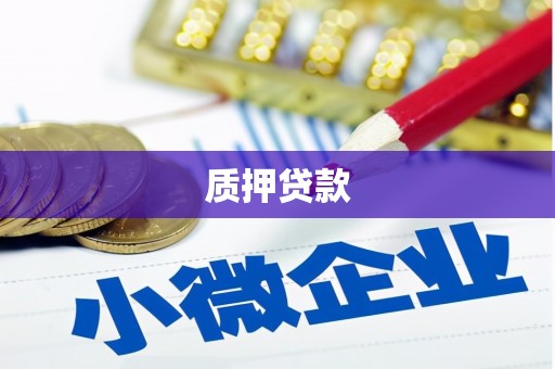 二水质押贷款
