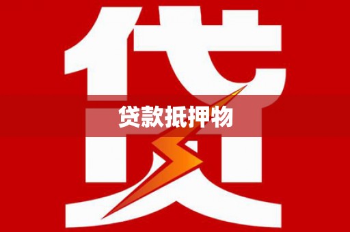 二水贷款抵押物