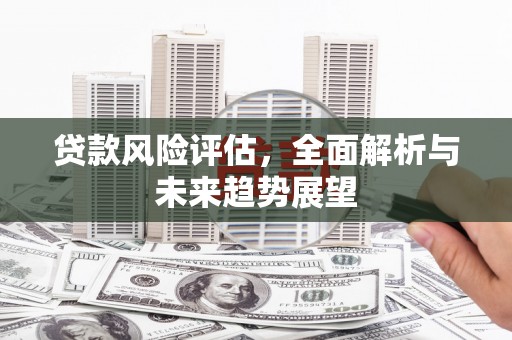 二水贷款风险评估，全面解析与未来趋势展望