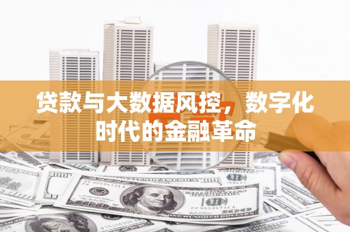 二水贷款与大数据风控，数字化时代的金融革命