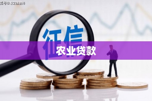 二水农业贷款