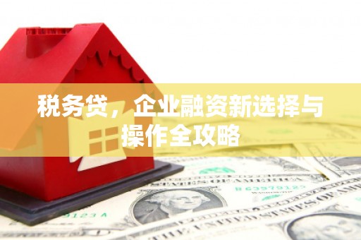 二水税务贷，企业融资新选择与操作全攻略