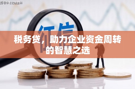 二水税务贷，助力企业资金周转的智慧之选