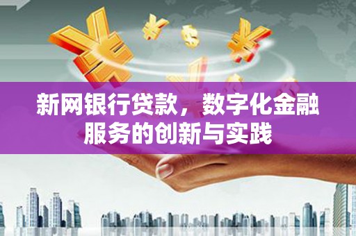 二水新网银行贷款，数字化金融服务的创新与实践