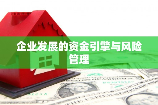 二水企业发展的资金引擎与风险管理