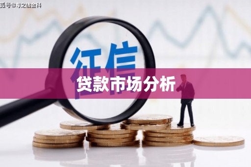 二水贷款市场分析