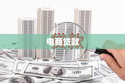 二水电商贷款