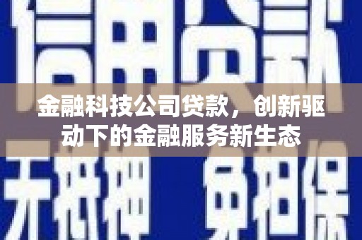 二水金融科技公司贷款，创新驱动下的金融服务新生态