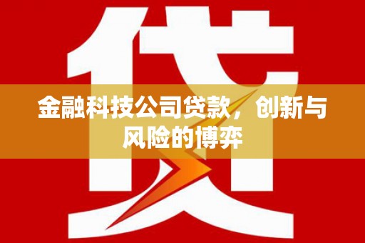 二水金融科技公司贷款，创新与风险的博弈