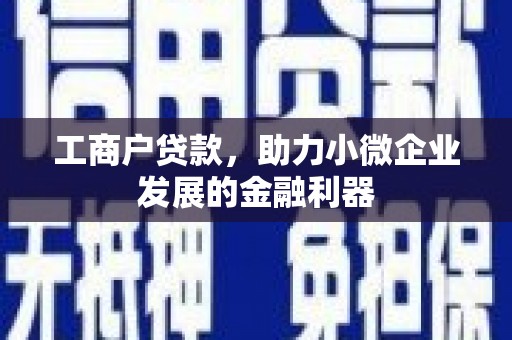 二水工商户贷款，助力小微企业发展的金融利器