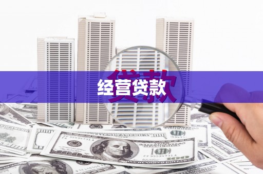 二水经营贷款