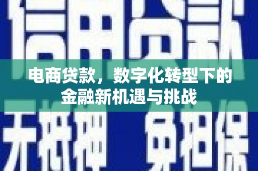 二水电商贷款，数字化转型下的金融新机遇与挑战