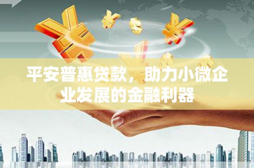 二水平安普惠贷款，助力小微企业发展的金融利器