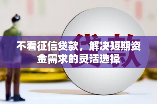 二水不看征信贷款，解决短期资金需求的灵活选择