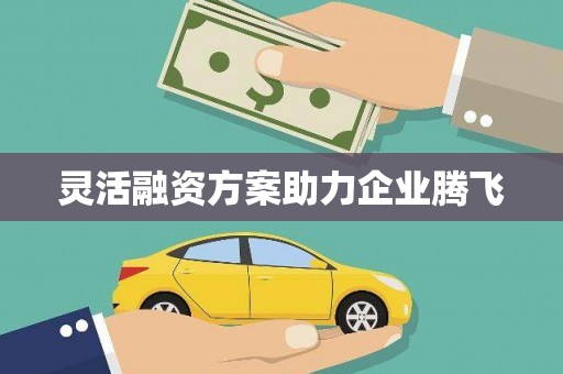 二水灵活融资方案助力企业腾飞