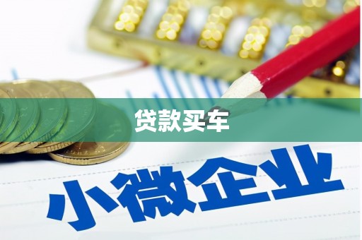二水贷款买车