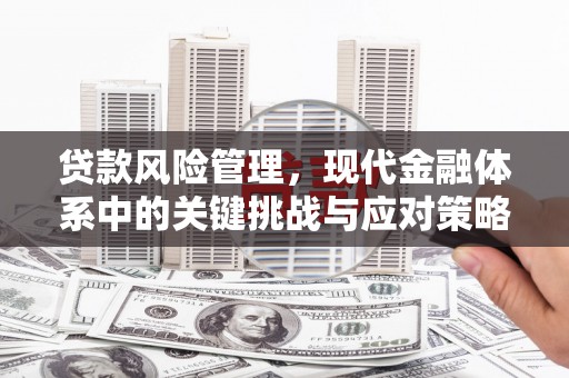 二水贷款风险管理，现代金融体系中的关键挑战与应对策略