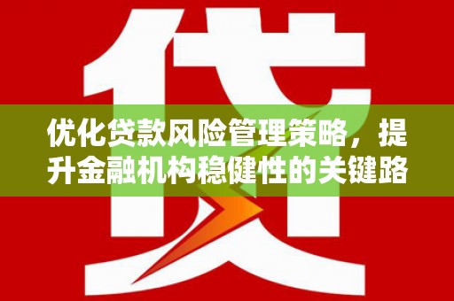 二水优化贷款风险管理策略，提升金融机构稳健性的关键路径
