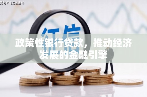 二水政策性银行贷款，推动经济发展的金融引擎