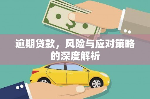 二水逾期贷款，风险与应对策略的深度解析