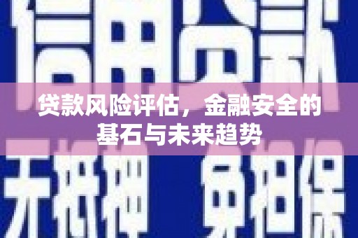 二水贷款风险评估，金融安全的基石与未来趋势