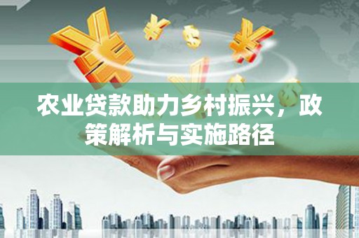 二水农业贷款助力乡村振兴，政策解析与实施路径