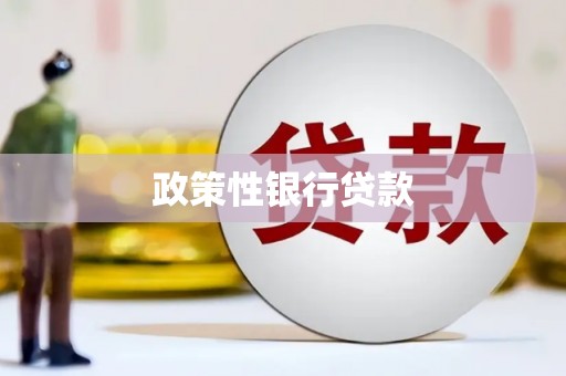 二水政策性银行贷款