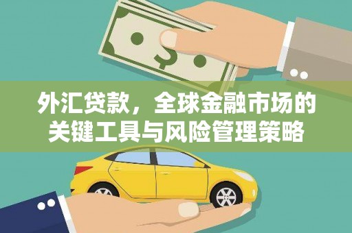 二水外汇贷款，全球金融市场的关键工具与风险管理策略