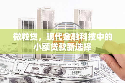 二水微粒贷，现代金融科技中的小额贷款新选择
