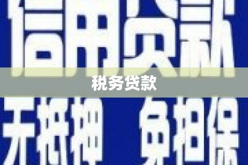 二水税务贷款