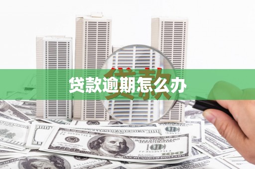 二水贷款逾期怎么办