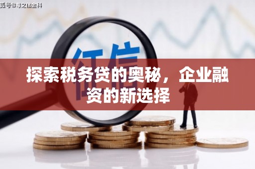 二水探索税务贷的奥秘，企业融资的新选择