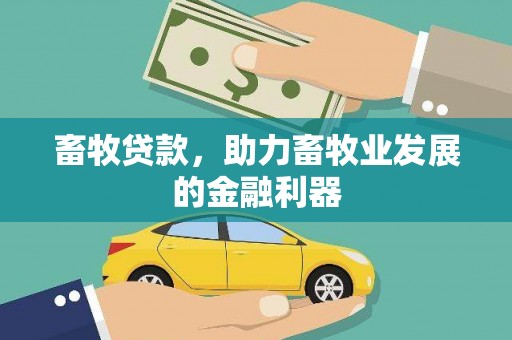 二水畜牧贷款，助力畜牧业发展的金融利器
