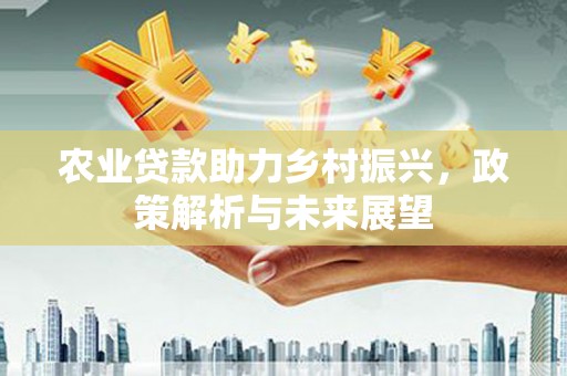 二水农业贷款助力乡村振兴，政策解析与未来展望