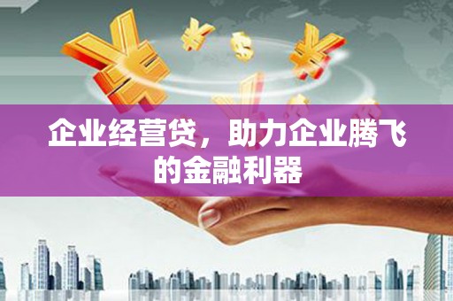 二水企业经营贷，助力企业腾飞的金融利器
