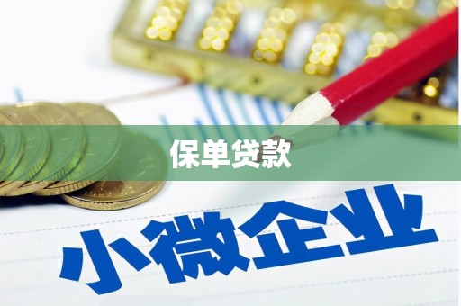 二水保单贷款