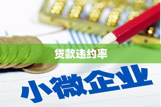 二水贷款违约率