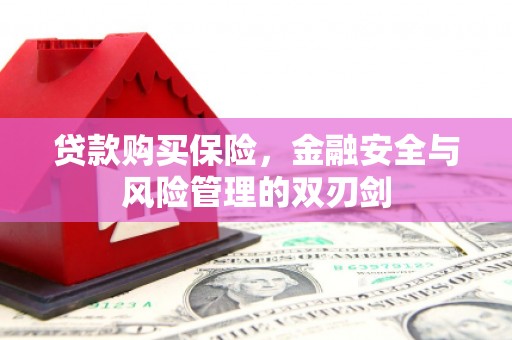 二水贷款购买保险，金融安全与风险管理的双刃剑