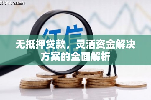 二水无抵押贷款，灵活资金解决方案的全面解析