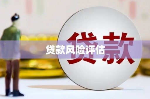二水贷款风险评估