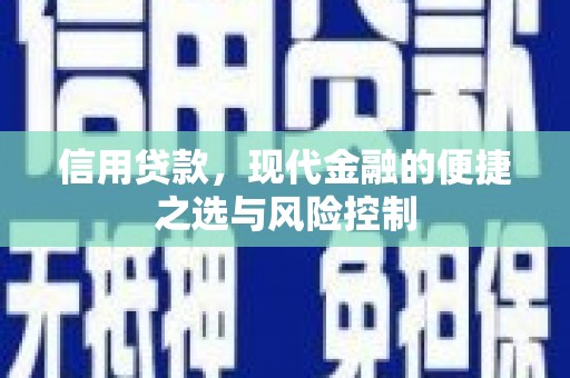 二水信用贷款，现代金融的便捷之选与风险控制