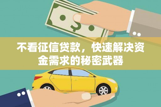 二水不看征信贷款，快速解决资金需求的秘密武器