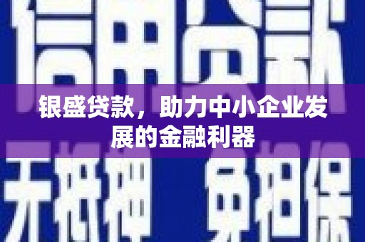 二水银盛贷款，助力中小企业发展的金融利器