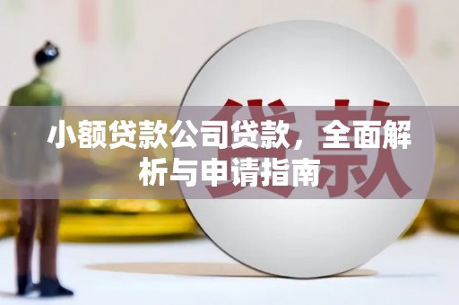 二水小额贷款公司贷款，全面解析与申请指南