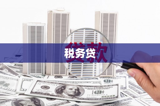 二水税务贷