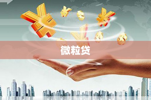 二水微粒贷