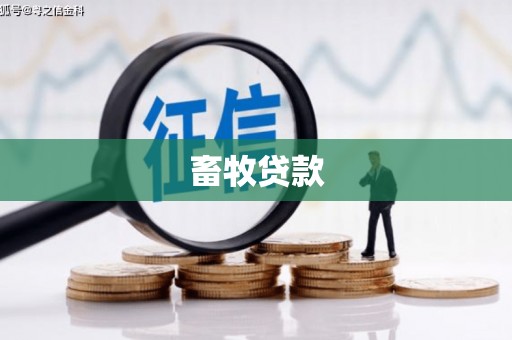 二水畜牧贷款